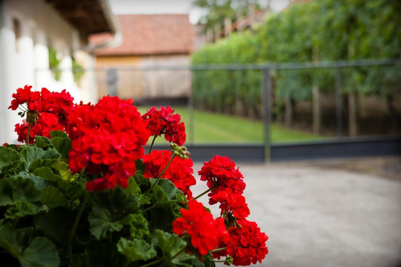 Apartman Kuca 150 Mala Subotica Exterior foto